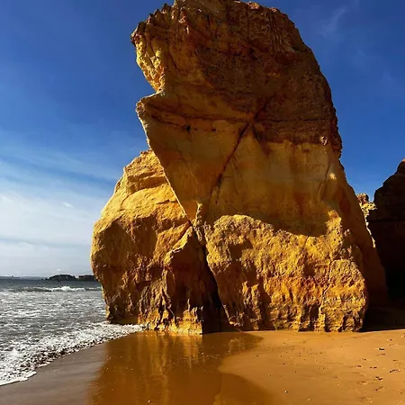 T2 To 8 Min Of Da Rocha Lägenhet *